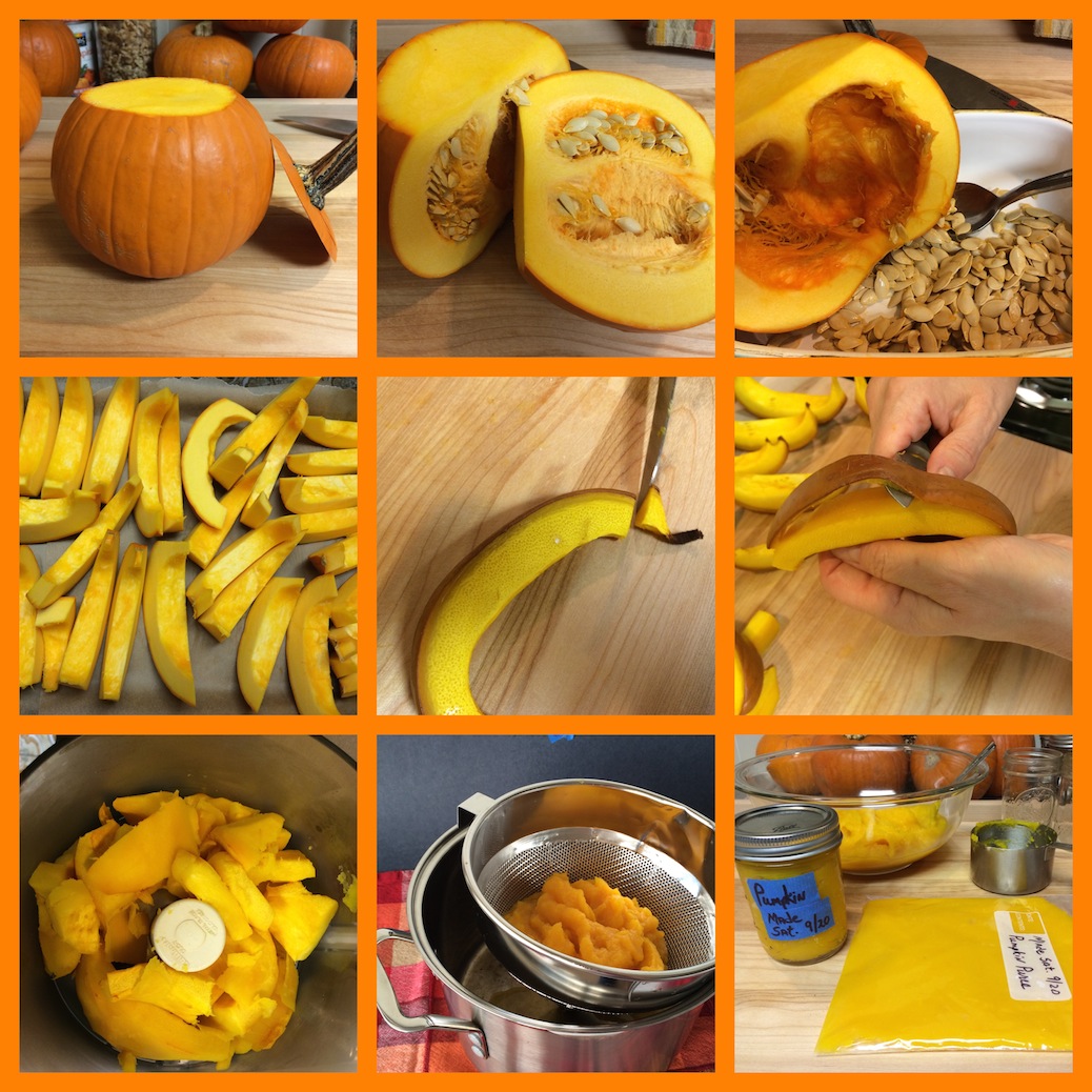 Pumpkin Puree Collage