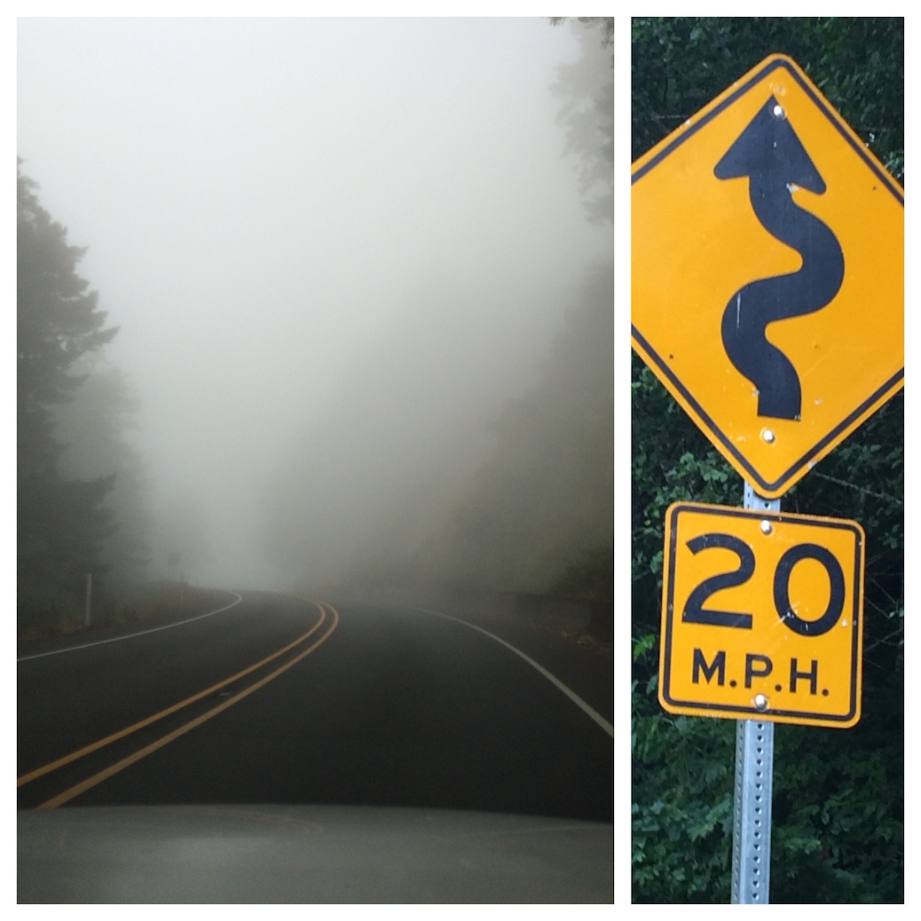 Foggy Road Oregon