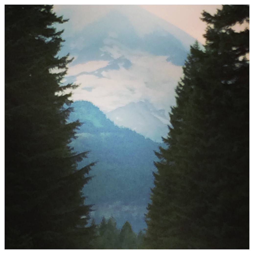 Mount Rainier Through Trees