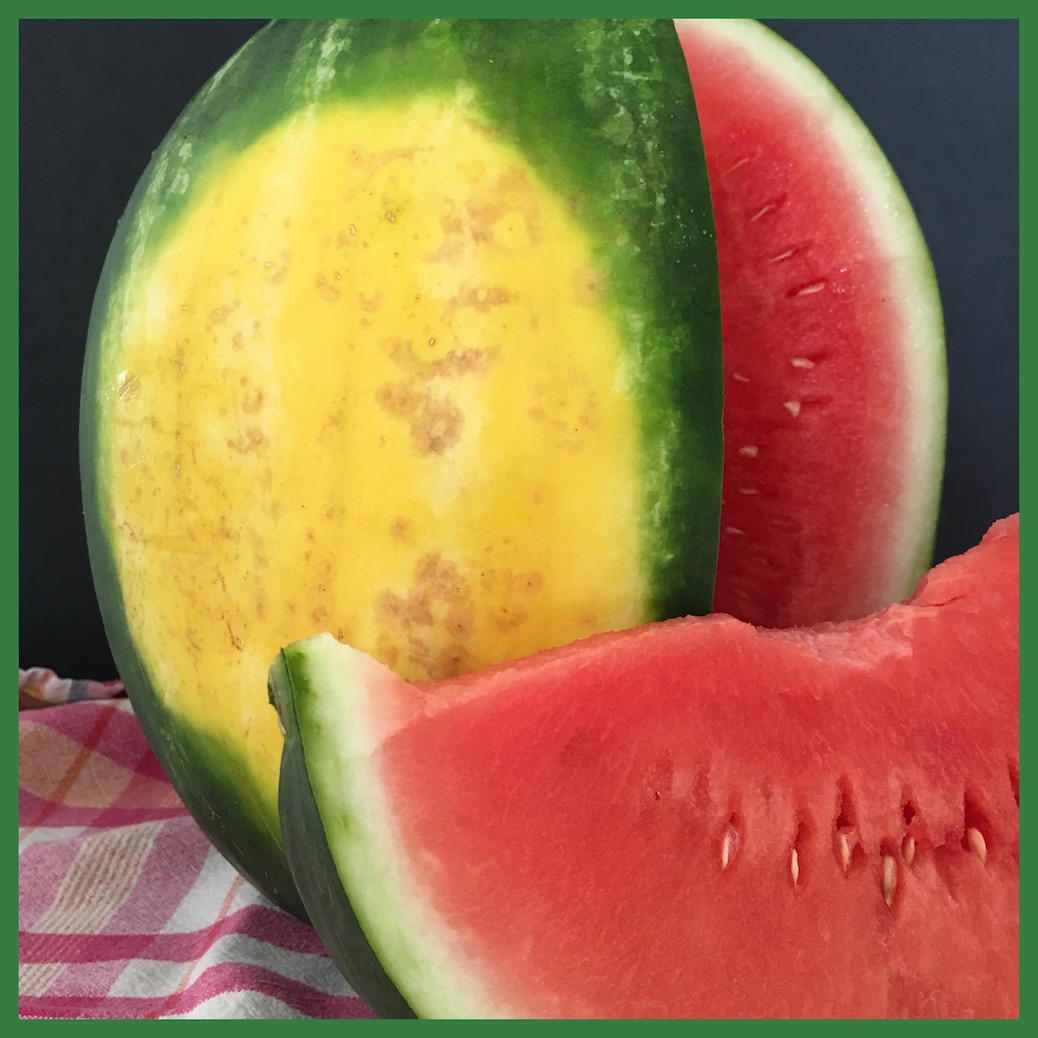 Watermelon joy, how to select a melon 