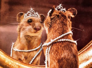 Mouse in Crown