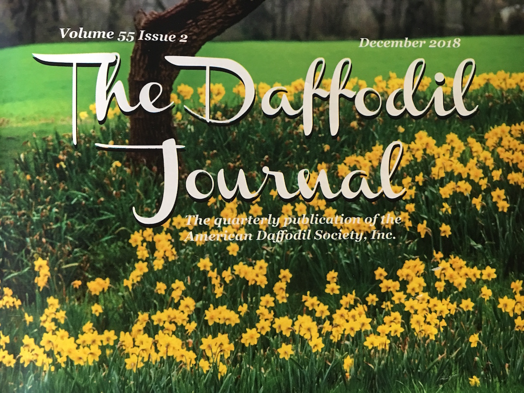 The Daffodil Journal