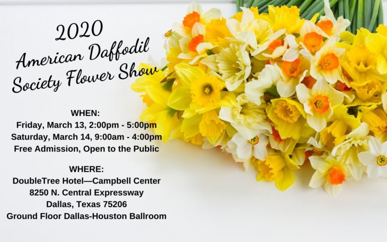 American Daffodil Society Flower Show