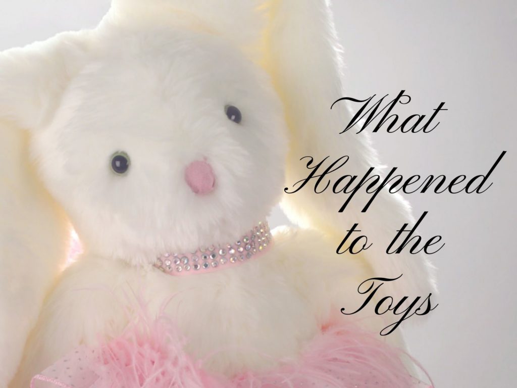 What Happened to the Toys Website Banner for the Phebe Phillips Website