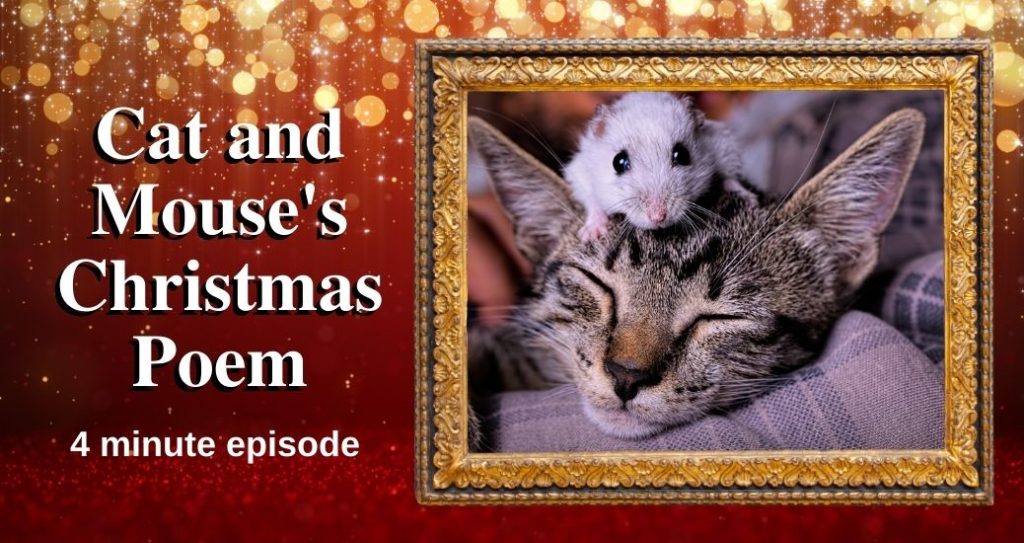 Photo Banner for the poem, Cat and Mouse's Christmas Poem
