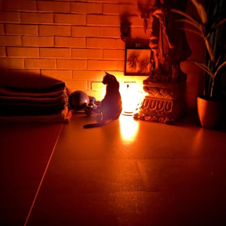 Phebe Phillips' Home Meditation Space, at Night with Kitten Pidds