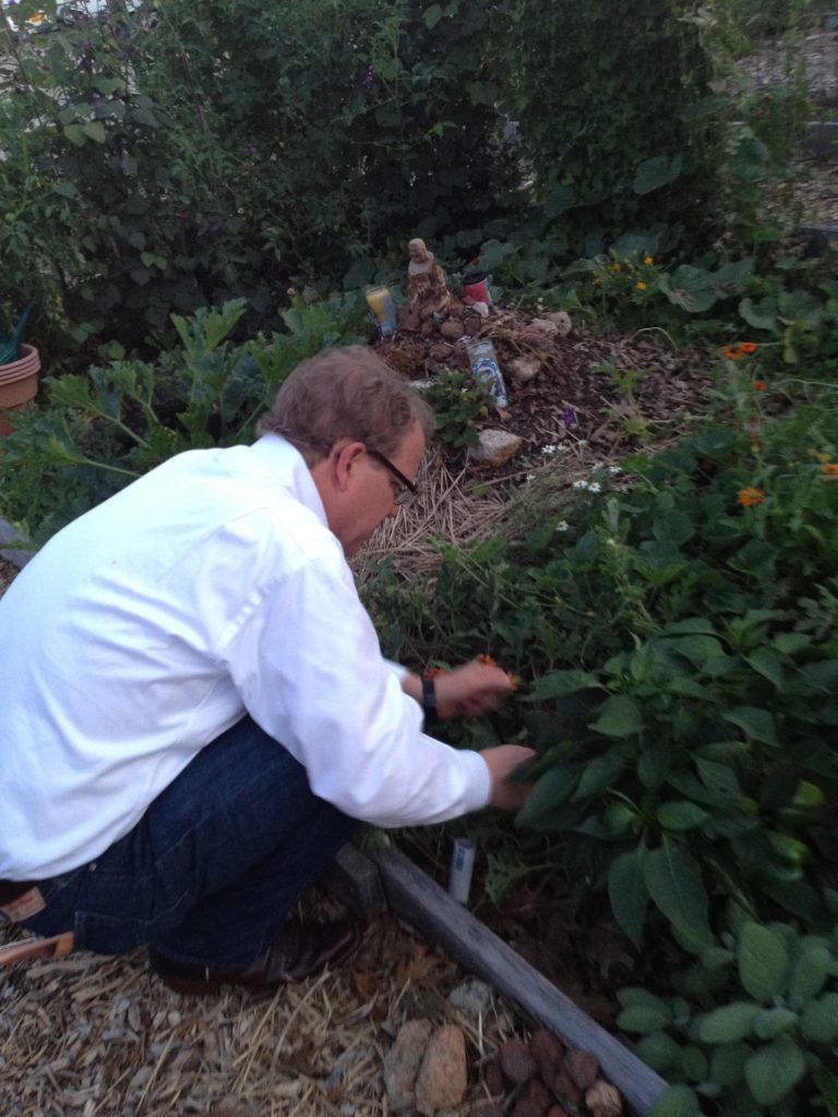 Mac restoring the garden plot