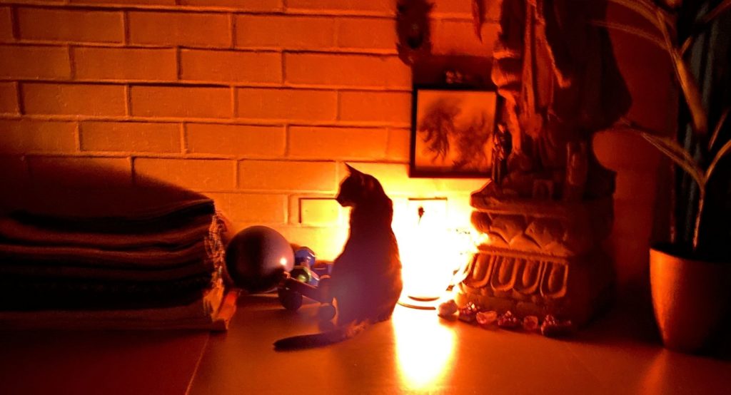 A meditation space at night with a cat named, Pidds