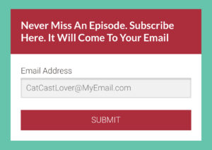 Photo of the Subscribe box on The Literary Catcast Website
