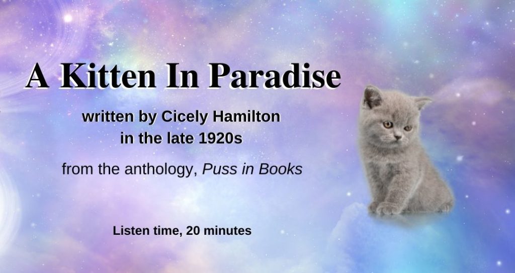 A Kitten in Paradise on The Literary Catcast Podcast