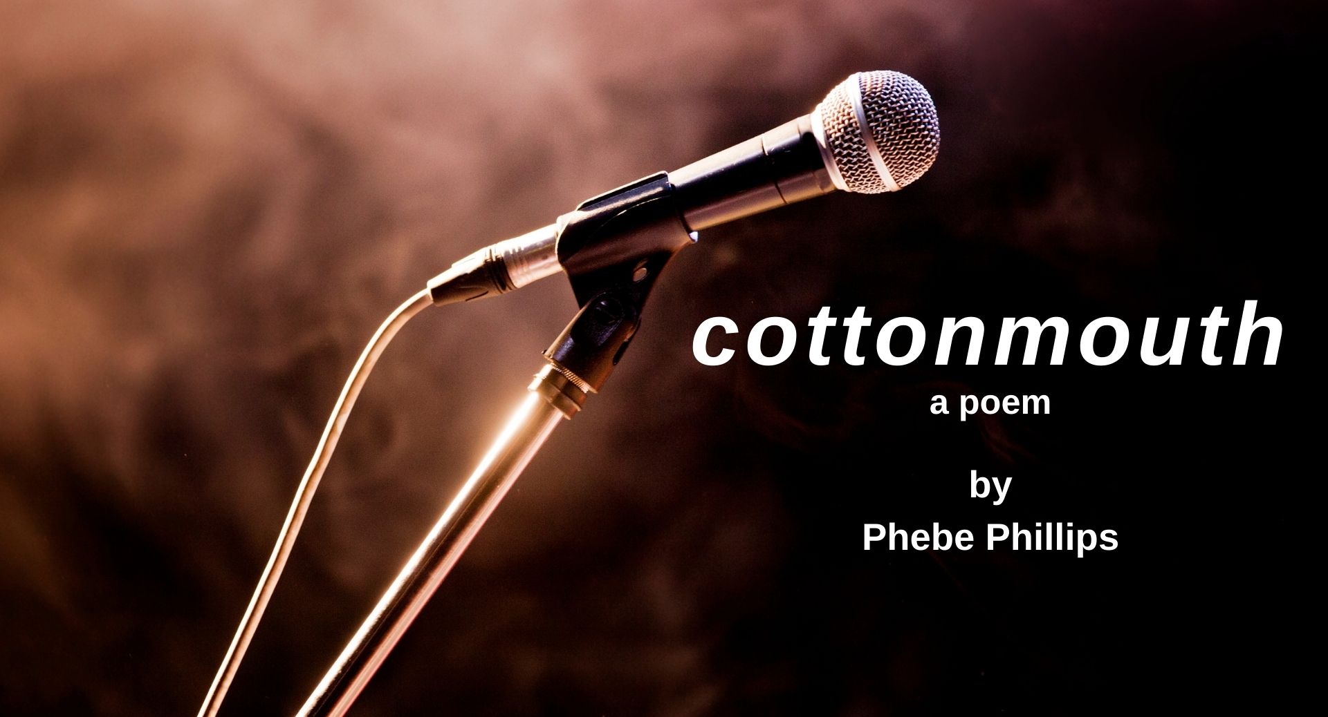Website banner photo for the poem, Cottonmouth